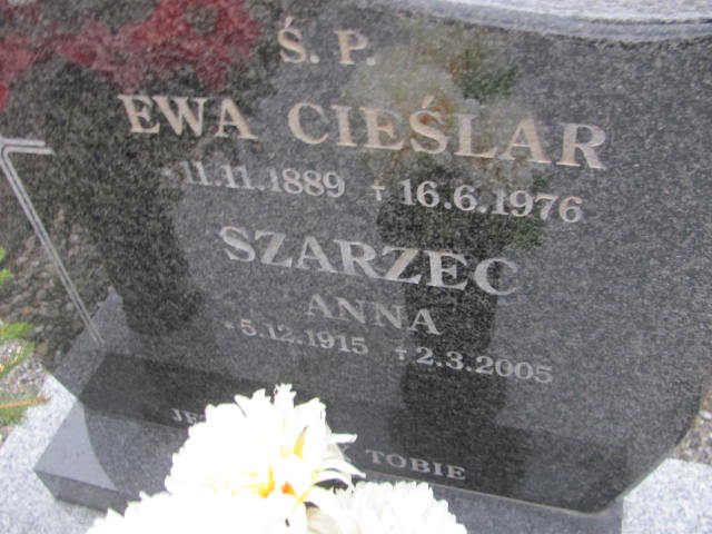 Emilia Szarzec 1948 Ustroń ewangelicki - Grobonet - Wyszukiwarka osób pochowanych