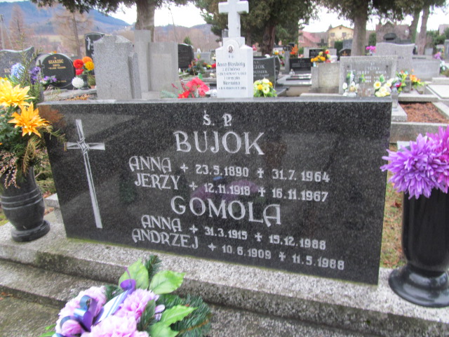 Anna Gomola 1915 Ustroń ewangelicki - Grobonet - Wyszukiwarka osób pochowanych