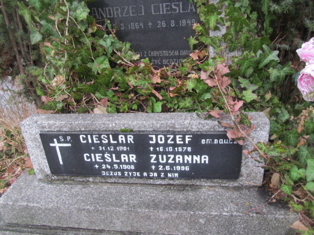 Zuzanna Cieślar 1869 Ustroń ewangelicki - Grobonet - Wyszukiwarka osób pochowanych