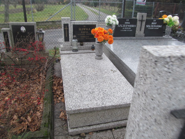 Grób Emilia Śliwka