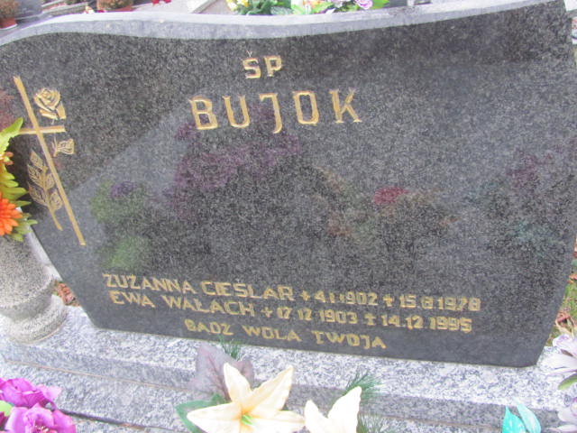 Ewa Wałach 1903 Ustroń ewangelicki - Grobonet - Wyszukiwarka osób pochowanych