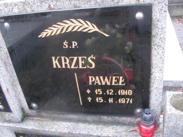 Paweł Krześ 1910 Ustroń ewangelicki - Grobonet - Wyszukiwarka osób pochowanych